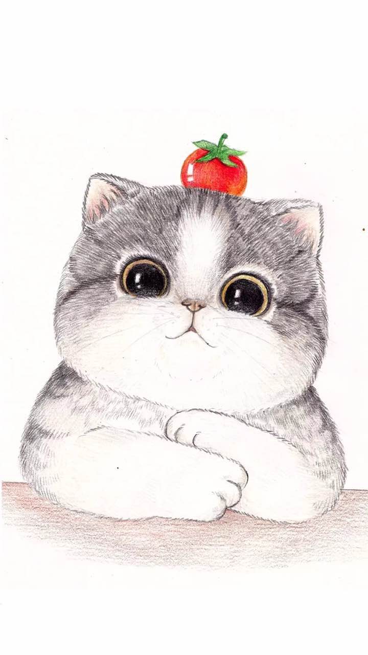 "您太美无法查看"